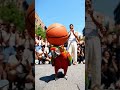 A round of applause for the Talented parrot #viral  #trending #shorts #youtubeshorts