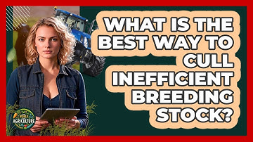 What Is The Best Way To Cull Inefficient Breeding Stock? - The World of Agriculture