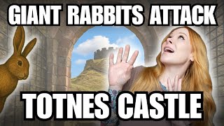 History Of Totnes Castle Medieval Village Life Rabbits In Devon