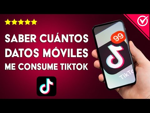 Cómo saber cuántos datos móviles me consume TIKTOK - Dosificar mi tarifa de datos