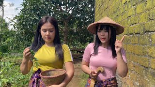 Download Lagu WOOW...KAGET CURHATAN DUA JANDA DESA SUDAH LAMA HIDUP SENDIRI, MERINDUKAN KASIH SAYANG  MP3