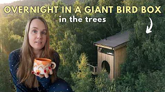 Staying in a Giant BIRD BOX Cabin in Norway