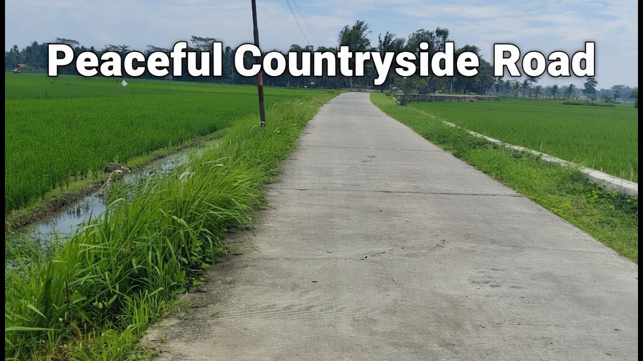 🎧 Ultimate Viral Hits 2026 – Most Played Songs Worldwide | Trending YouTube Music Playlist