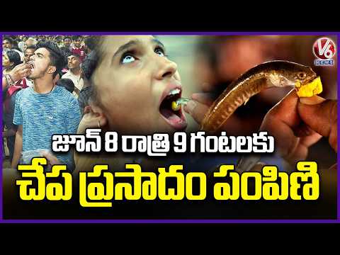 Government Focused On Fish Medicine Distribution At Nampally Exhibition Grounds | V6 News - V6NEWSTELUGU