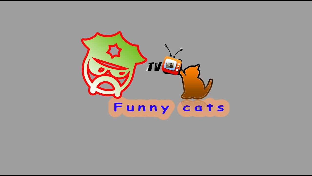 Cats VS Cucumbers Reaction When Put Cucumber Behind Cats Funny Cats Try Not To Laugh YouTube