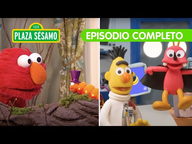 Plaza Sésamo: Elmo en una aventura de mariposas | Episodio Completo class=