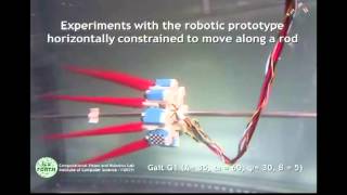 Octopus-inspired Eight-arm Robotic Swimming by Sculling