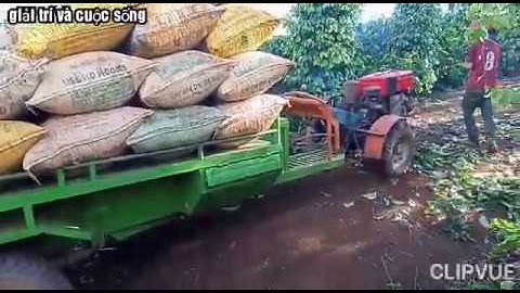 Xe công nông độ vô lăng chở cà phê cực khỏe