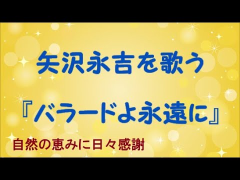 バラードよ永遠に』／矢沢永吉を歌う_339 by 自然の恵みに日々