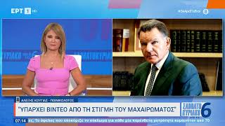 Αλέξης Κούγιας: «Υπάρχει βίντεο από τη στιγμή του μαχαιρώματος» | 13/8/2023 | ΕΡΤ