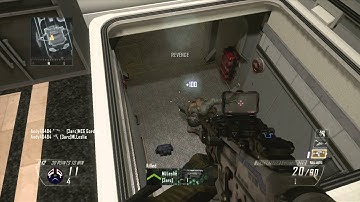 Playing with Bots on Black Ops 2