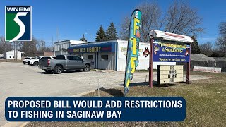 Proposed bill would add restrictions to fishing in Saginaw Bay