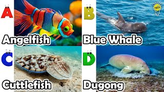 ABC phonics animals | ABC Sea Animals song | English and Animals for Kids #angelfish