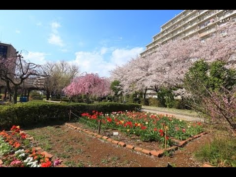 Seseraginosato Park (せせらぎの里公苑) Tokyo