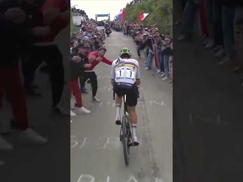 🙄 Des spectateurs collent des flyers sur le dos de Pogacar #shorts #pogacar #cycling