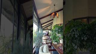 Chandigarh Forest Hill cafe