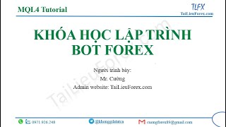 1. Hướng dẫn lập trình MQL4, MQL5 trên Visual Studio Code