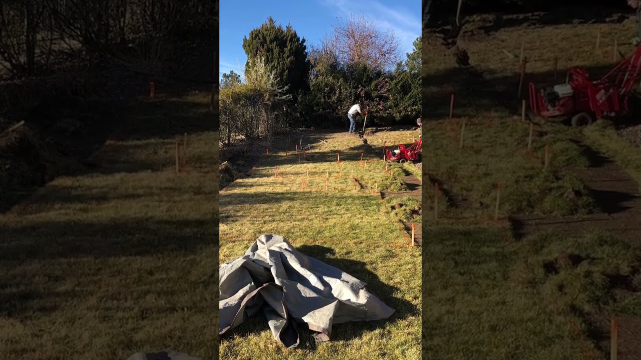 see this amazing transformation. 