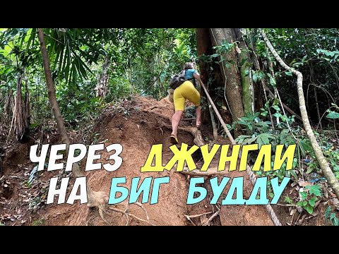 Тропа через джунгли