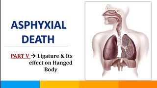 Part-5_What is Ligature || Hanging || Asphyxial Death || @SavvyForensics