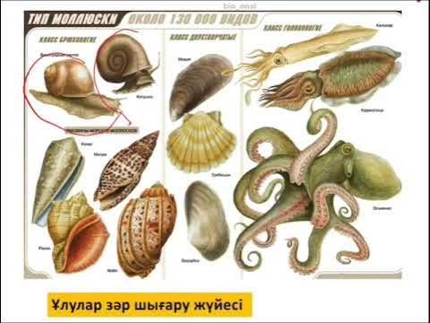 Орыс әйелдері қалай мас күйінде қалады Әке мен қыздың жыныстық қатынасы орыс инцесті