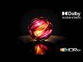 Incredible Predator OLED HDR Showcase | 4K Dolby Vision Nature Video (8K/4K TV)