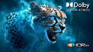 Predators in 4K HDR: The Ultimate Slow Motion OLED Nature Demo