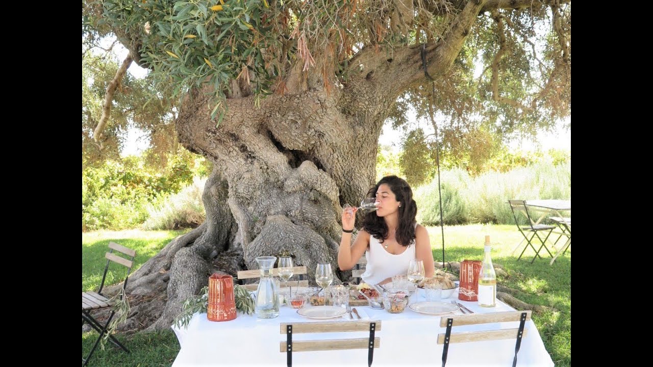 MORGADO DO QUINTÃO - Enoturismo no Algarve