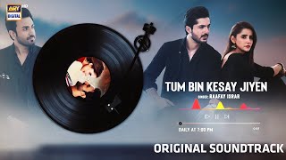 Miniatura del video "Tum Bin Kesay Jiyen - OST | Audio 🎧 | Raafay Israr | ARY Digital"