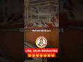 Zindagi Ek Stock 🤨 #shorts #short #youtubeshorts #motivation #viral #shortsviral
