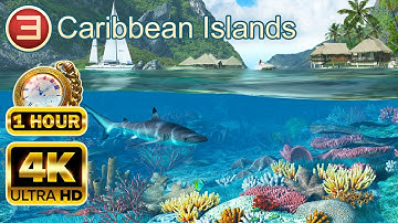 CARIBBEAN ISLANDS 4K: 1 Hour of Tropical Paradise with Chill Music