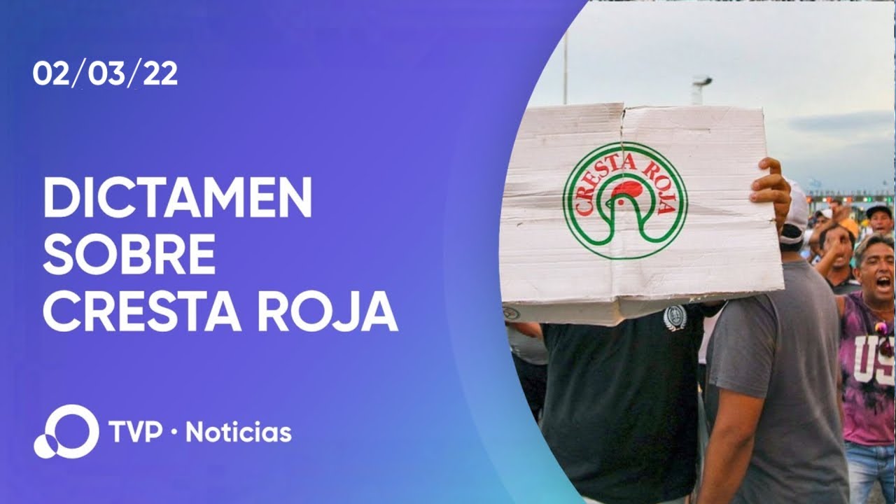 dictamen-a-favor-de-las-y-los-trabajadores-de-cresta-roja-youtube