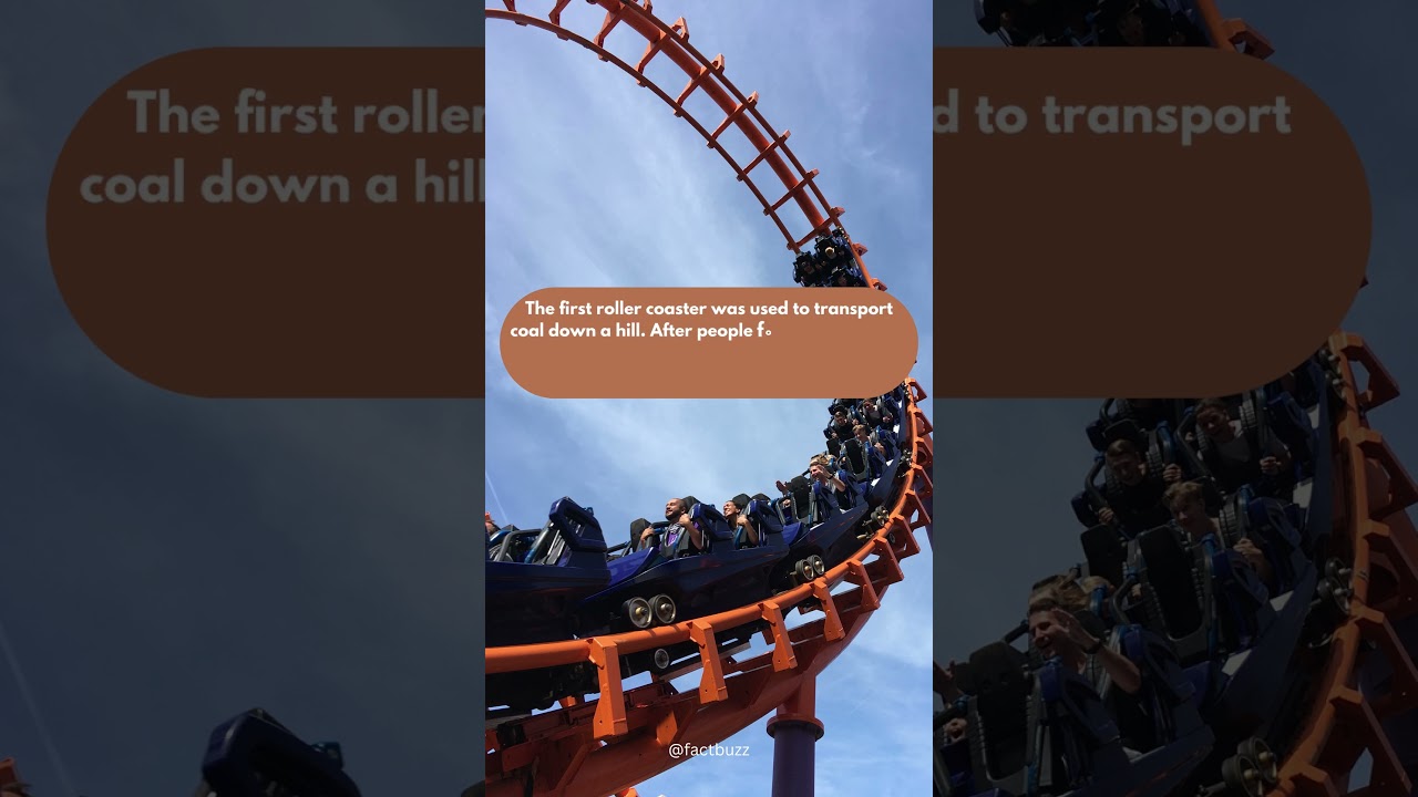 Do you know fact about roller coaster... ll fact buzz ll