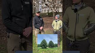 From Saplings to Established Trees: Caring for Central Parks Urban Forest #shorts