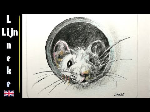 how-to-draw-a-cute-mouse-in-color-pencil-for-beginners