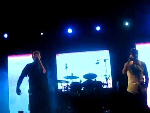 Ekon Uso Txuriaren Indarkeria Hasiera (Arrasate) Ekon Uso Txuriaren Indarkeria Hasiera (Arrasate)