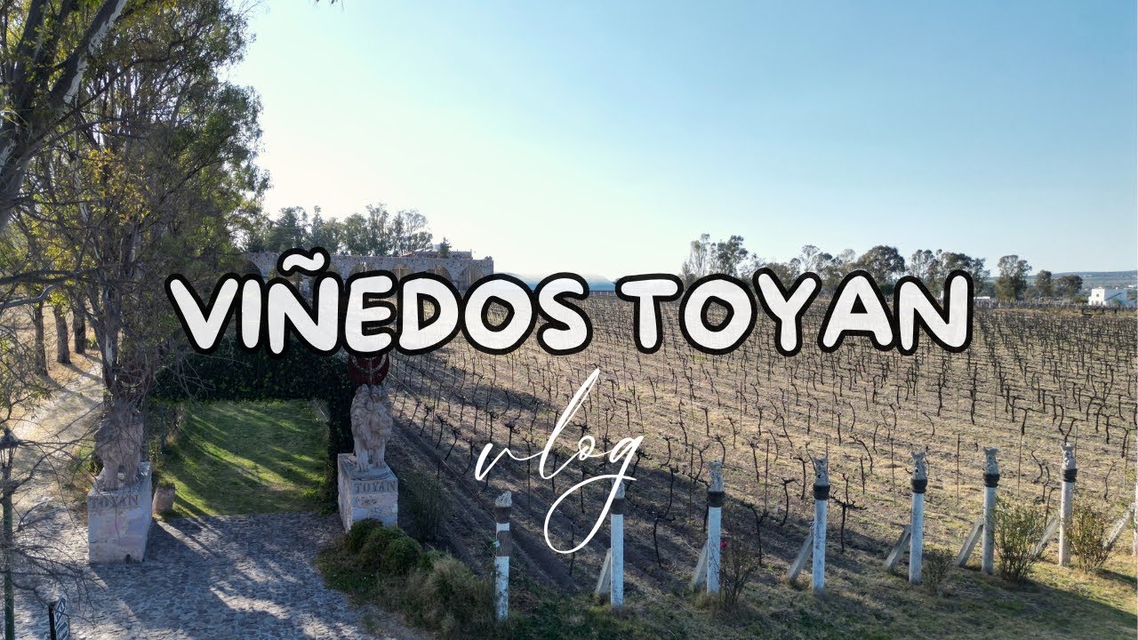 Viñedo con temática medieval en San Miguel de Allende 