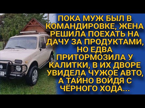 Отправив мужа в командировку, поехала на дачу, но заглянув во двор, обомлела...