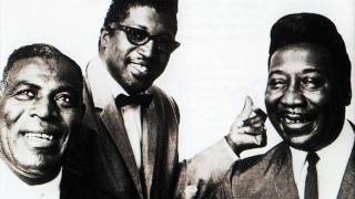 Muddy Waters &amp; Bo Diddley &amp; Howling Wolf &amp; Buddy Guy &amp; Otis Span - Going Down Slow