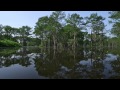 The Atchafalaya Basin - DJI Ronin on airboat test (raw footage)