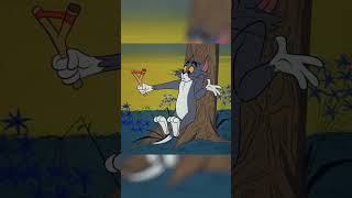 Slingshot Fun with Tom and Jerry. Truce? #TomandJerry #ClassicCartoons #shorts