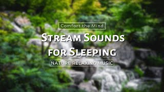 Stream Sounds for Sleeping, Comfort the Mind, Relaxing | 1 Hour