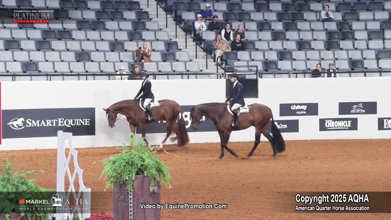 Чемпион мира по рабочей езде на охоте под седлом 2025 года