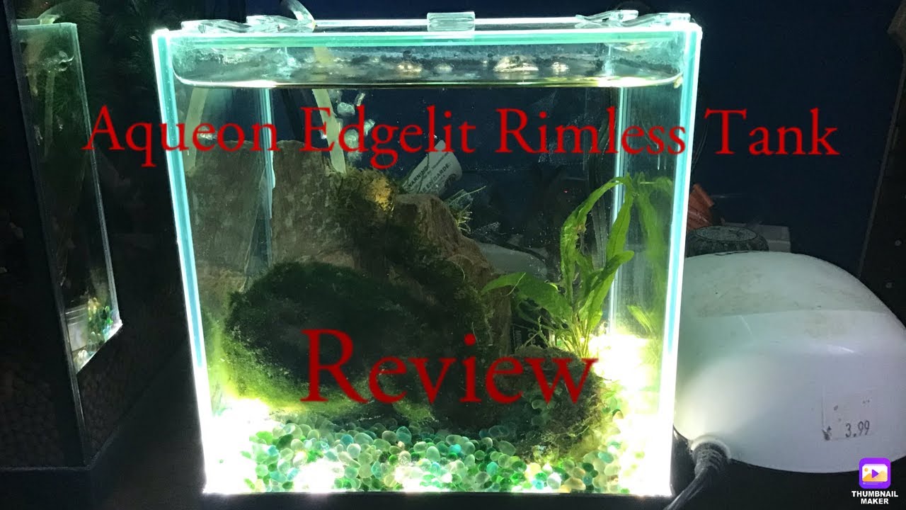 Aqueon Edgelit rimless tank review 