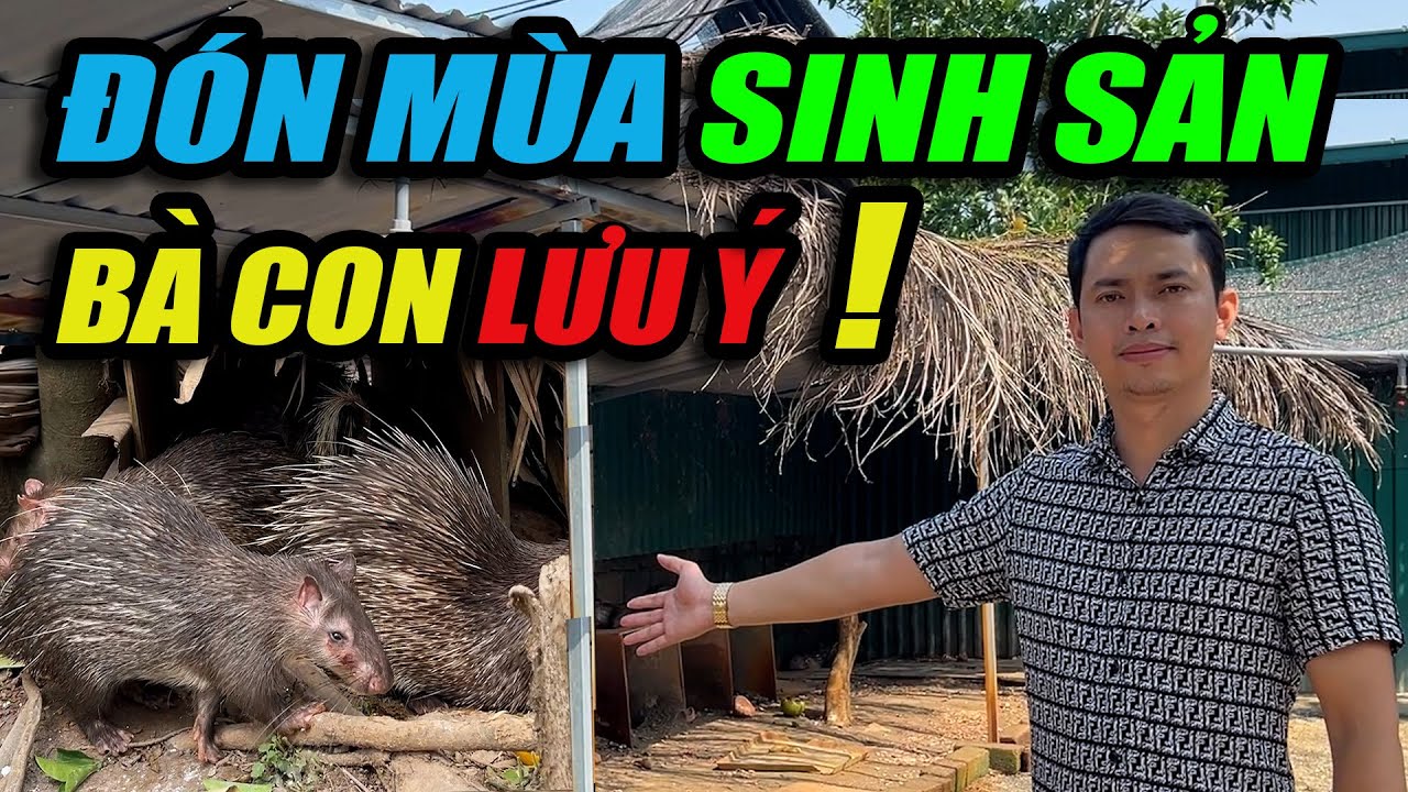 ĐÓN MÙA SINH SẢN BÀ CON LƯU Ý | CHANNUOI.NET