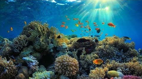 M. Sc 1st semester# Mjpu Differential equation with applications#mjpu