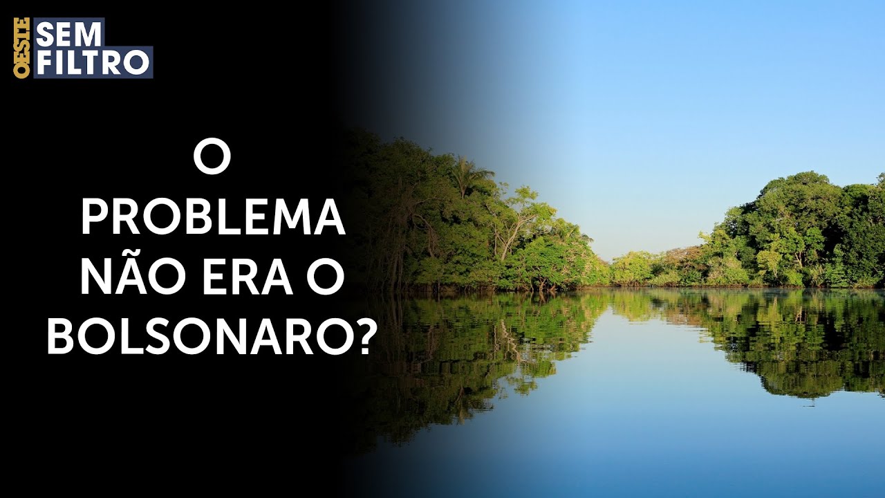 Servidores do Ibama desistem de fiscalização na Amazônia | #osf