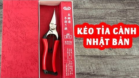Kéo Tỉa Cành Nhật Bản Mua Ở Đâu Và Giá Bao Nhiêu Tiền 1 Chiếc keocatcanh.vn