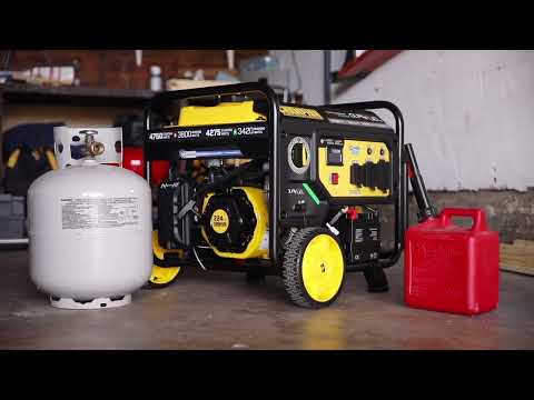 3800W Electric Start Dual Fuel Generator with CO Shield® (CARB) (Model 201393)