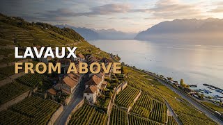 Lavaux Vineyards Cully Dezaley from Above — Golden Hour over Lake Geneva | Aerial Film